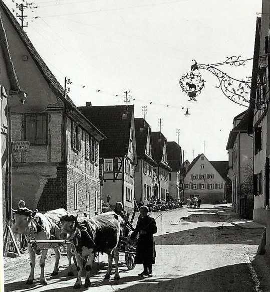 Widdumstraße 9